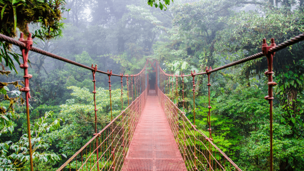 Plan Your 2025 High School Trip to Costa Rica: 7 Pura Vida Adventures - Monteverde