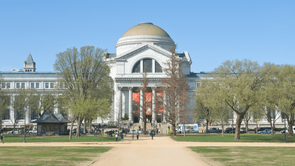 Senior class trip to DC Smithsonian