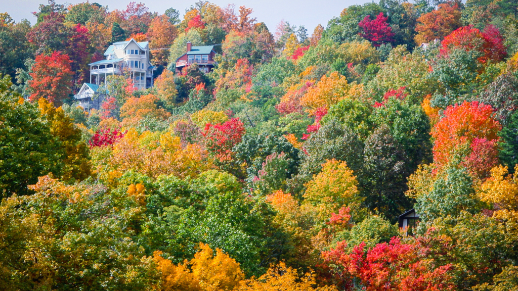 Smoky Mountains in the fall